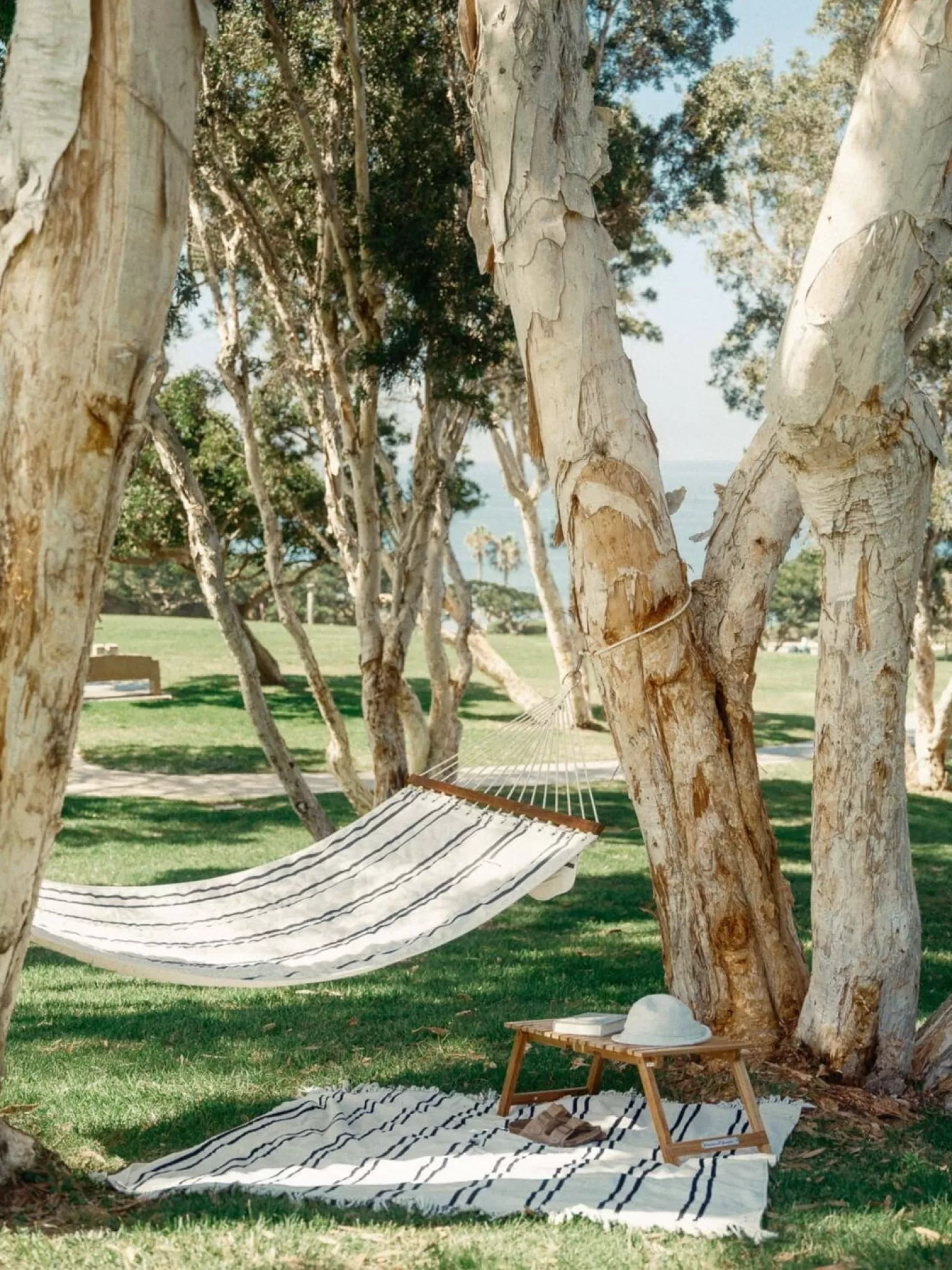 Hammocks>Business & Pleasure Co. The Hammock - Malibu Black Stripe