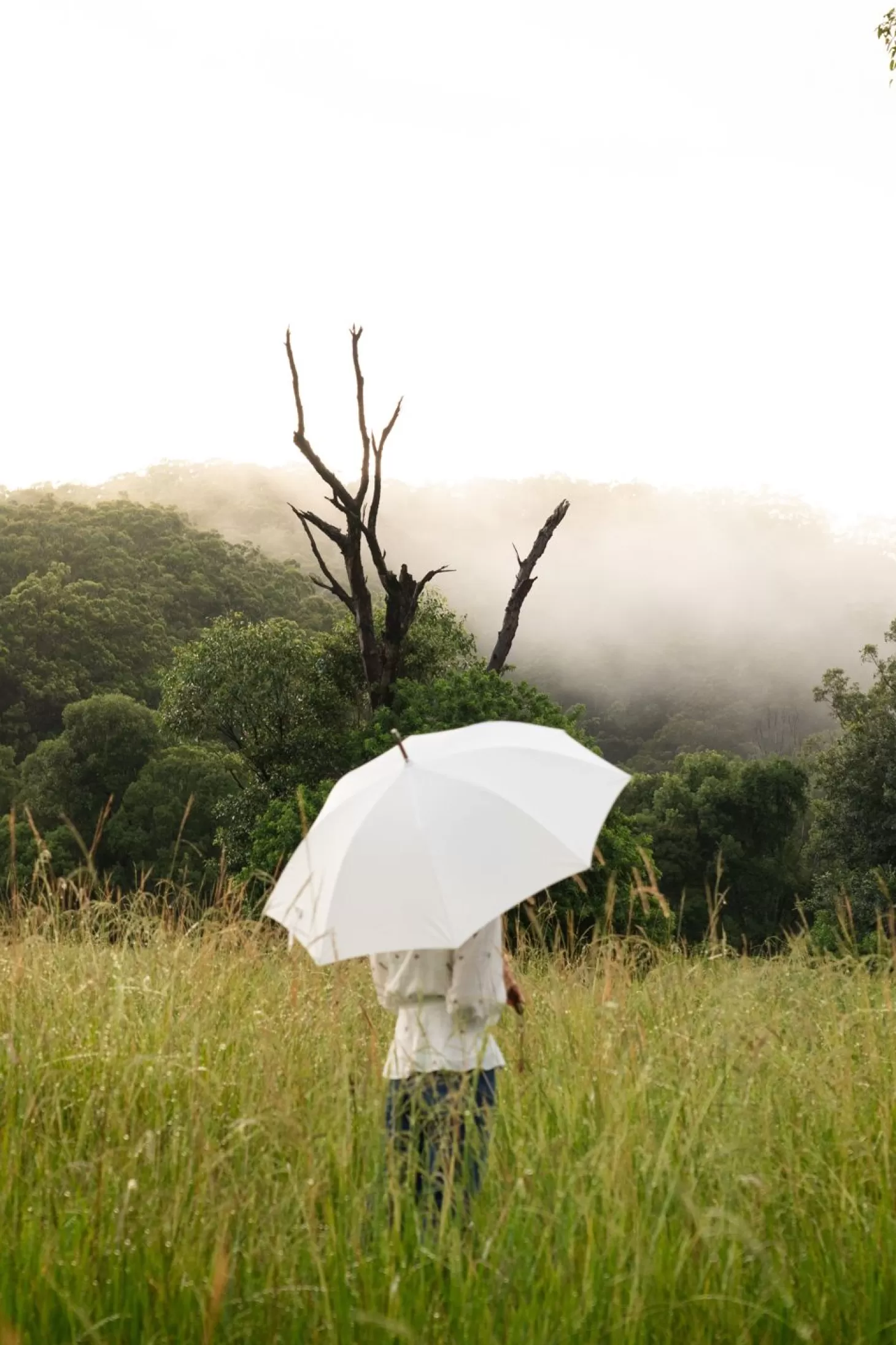 Rain Umbrellas>Business & Pleasure Co. The Rain Umbrella - Antique White