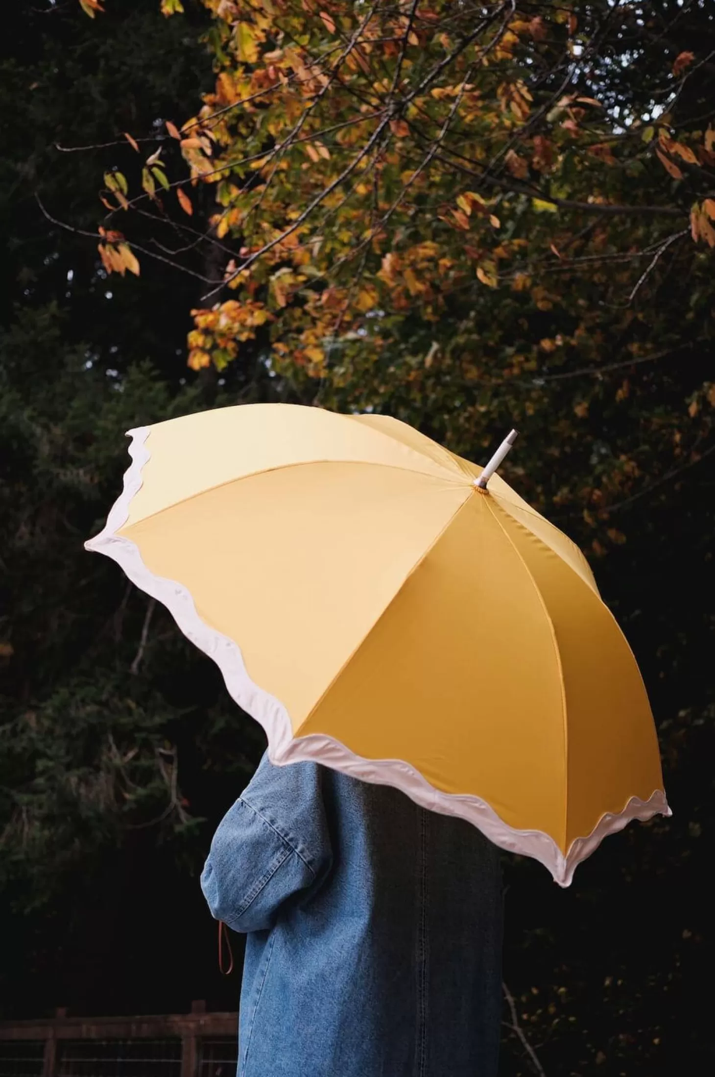 Rain Umbrellas>Business & Pleasure Co. The Rain Umbrella - Rivie Mimosa